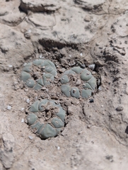 © Aron René Kirchhoff, some rights reserved (CC-BY-NC)