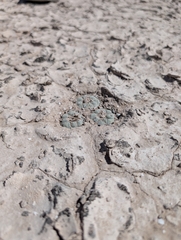 © Aron René Kirchhoff, some rights reserved (CC-BY-NC)