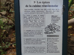 Pimenta racemosa