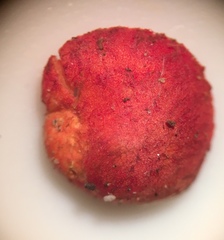 Crepidotus cinnabarinus