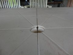 Pseudoanthidium repetitum