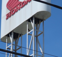 Acridotheres tristis