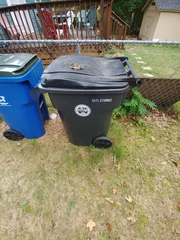 Melikaiella ostensackeni