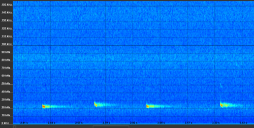 Lesser Noctule, Geidorf, Graz, Österreich, photo 3 of 10