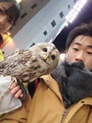 Strix