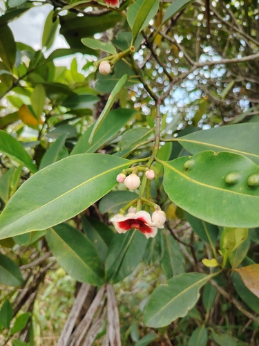 Foto de Abaneiro