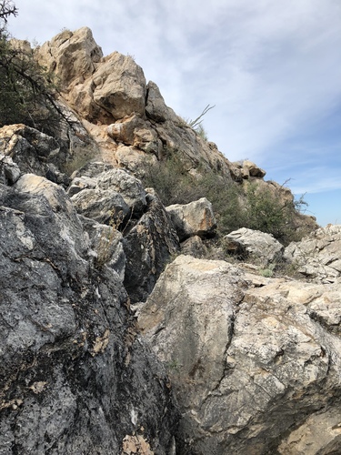 San Xavier Talussnail