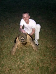 Macrochelys temminckii
