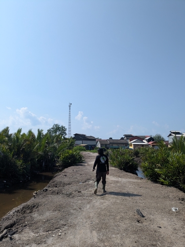 Glochidion littorale