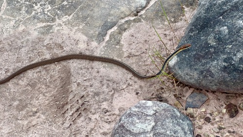 Chapada Diamantina Sipo