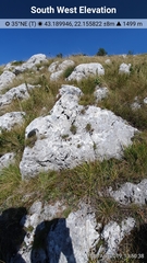 Edraianthus serbicus