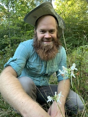 Platanthera integrilabia