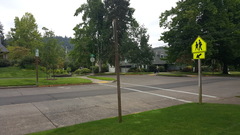 Melanoleuca griseobrunnea