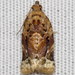 Red-banded Leafroller Moth - Photo (c) Nick Block, some rights reserved (CC BY), uploaded by Nick Block