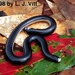 Reticulate Worm Snake - Photo (c) Laurie Vitt, some rights reserved (CC BY-NC)