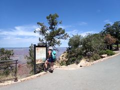 Arceuthobium divaricatum