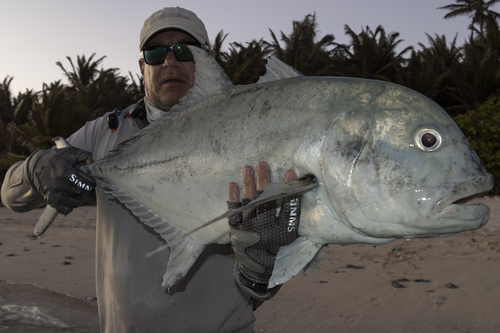 Giant Trevally