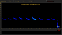 Perimyotis subflavus