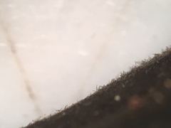 Geoglossum difforme