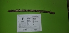 Dacrymyces minor
