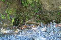 Adiantum aleuticum subpumilum