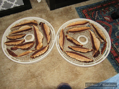 Ganoderma oregonense