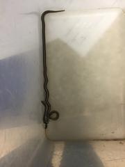 Tropidoclonion lineatum