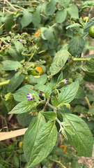 © dannymp, some rights reserved (CC-BY-NC)