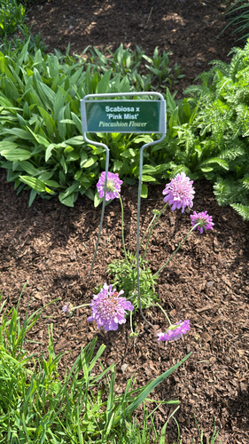 Edith M. Chase Ecology Trail