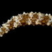Holothuria pervicax - Photo (c) Francois Michonneau, algunos derechos reservados (CC BY)