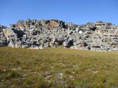 Moraea variabilis