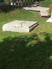 Coereba flaveola caboti