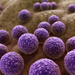 Staphylococcus - Photo (c) www.scientificanimations.com, algunos derechos reservados (CC BY-SA)