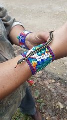 Thamnophis pulchrilatus