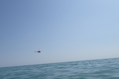 Crocothemis erythraea