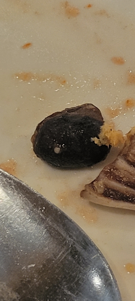 Phaseolus vulgaris