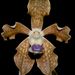 Checkered Vanda - Photo (c) S.MORE, some rights reserved (CC BY-NC)