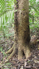 © Richard Guerra, some rights reserved (CC-BY-NC)