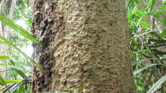 © Richard Guerra, some rights reserved (CC-BY-NC)