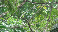 © Richard Guerra, some rights reserved (CC-BY-NC)