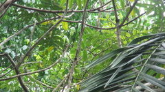 © Richard Guerra, some rights reserved (CC-BY-NC)