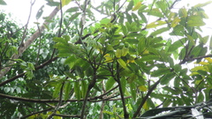 © Richard Guerra, some rights reserved (CC-BY-NC)