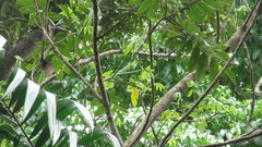 © Richard Guerra, some rights reserved (CC-BY-NC)