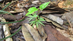 © Richard Guerra, some rights reserved (CC-BY-NC)