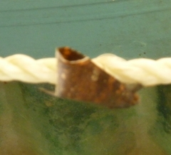 Bastilla serratilinea