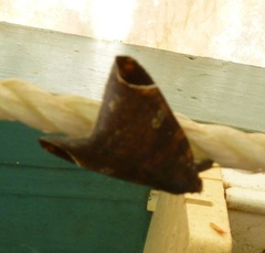 Bastilla serratilinea