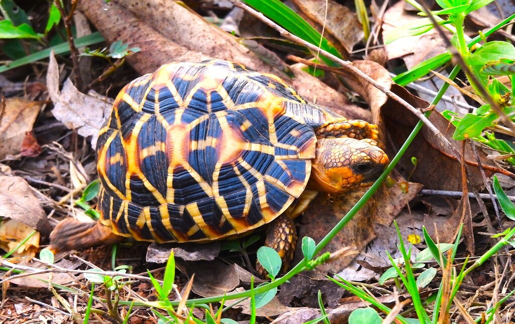 Photo by kavinezhilanm