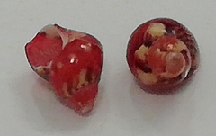 Tricolia pullus