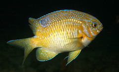 Rock Perch photo 3