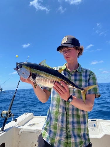 Yellowfin Tuna